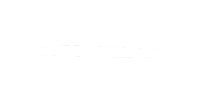 Copy_of_Untitled_Design_-_1 (6)